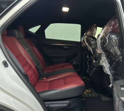 Lexus NX200T 2016 F-sport 5បេតុង​ គុជបី​ ឈឺរីហ្សុីន