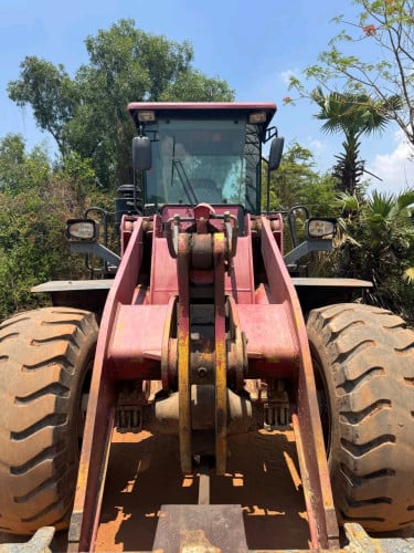 Matador ML50 2019