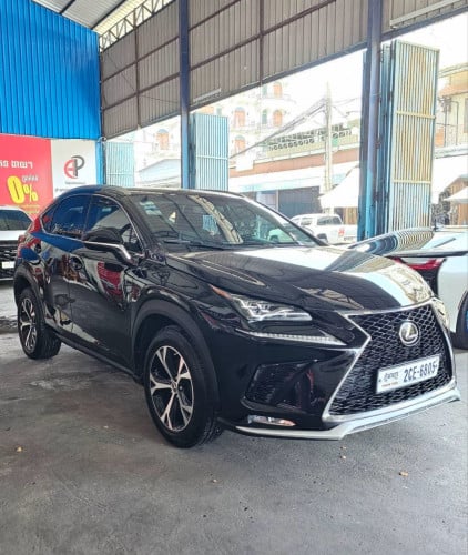 NX 200 2017 luxury up F-sport