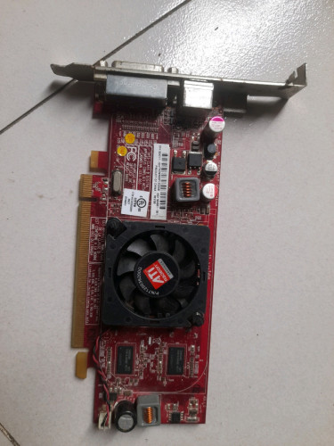 Ram