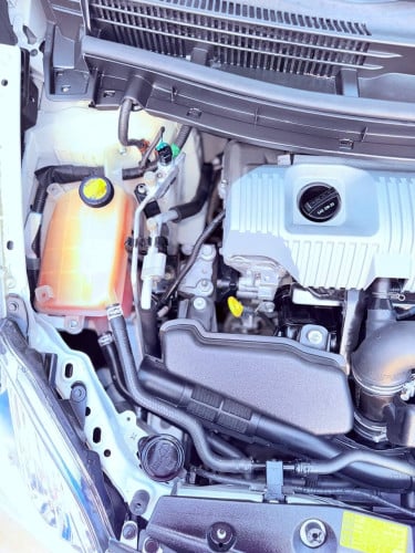 Toyota Prius 2013 Option 3 សូឡា ឃ្មុំ​ហ្ស៊ីន ទឹកថ្នាំហ្ស៊ីន​ 97%