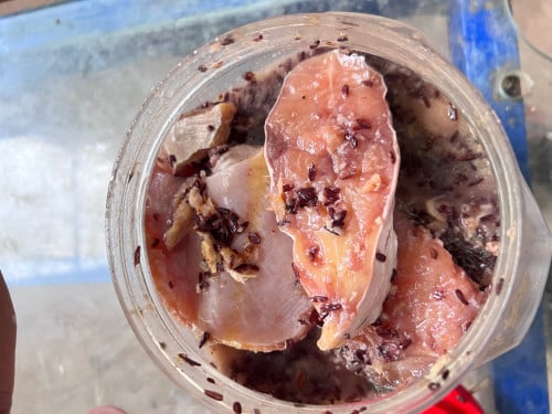 លក់ផ្អកត្រីប្រាធម្មជាតិ