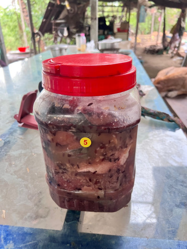 លក់ផ្អកត្រីប្រាធម្មជាតិ