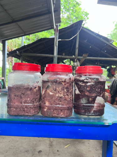 លក់ផ្អកត្រីប្រាធម្មជាតិ