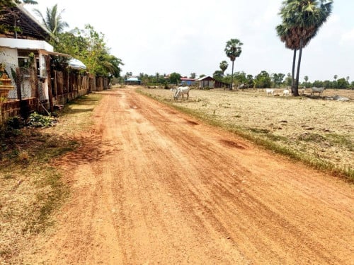 ដីនឹងផ្ទះលក់ប្រញ្ញាប់លុយខ្លំាងៗ