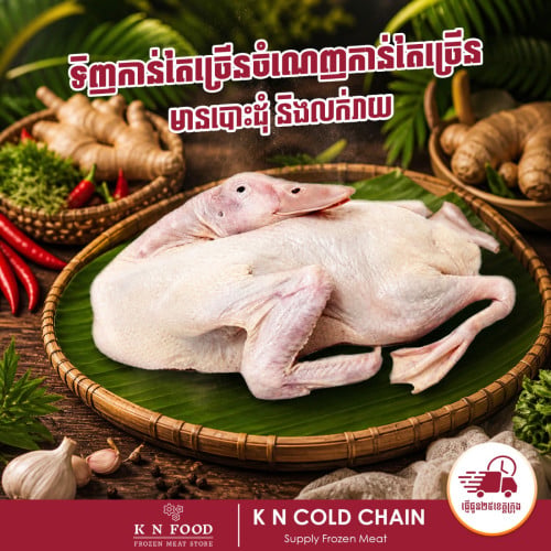 ទាមូលមានជើងមានស្លាប