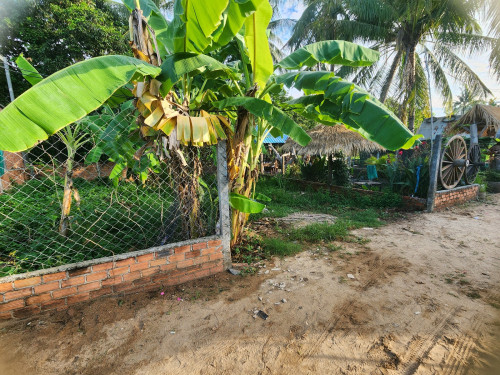 ដីលក់នៅភូមិចំពុះក្អែក សង្កាត់ព្រែកថ្មី ភ្នំពេញ