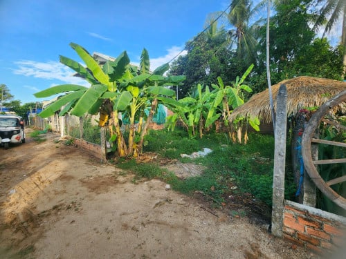 ដីលក់នៅចំពុះក្អែក 38000
