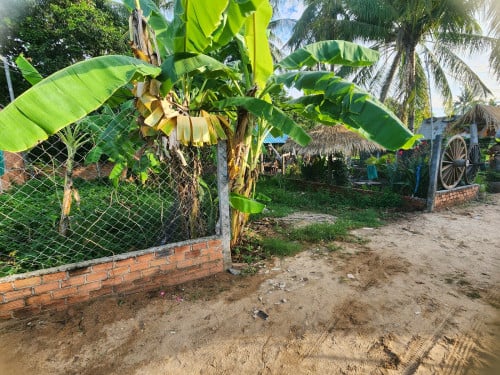 ដីលក់នៅចំពុះក្អែក 38000