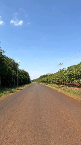 ដីចម្ការកៅស៊ូ 88ហិចតា ខេត្តរតនគិរី