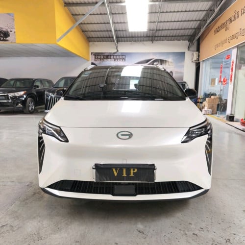 GAC Aion Ev 20＄/day