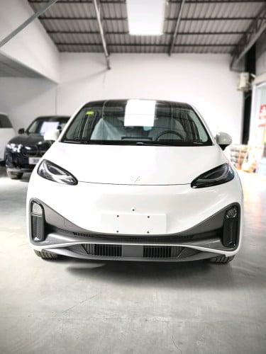BAIC Ev 22＄/day