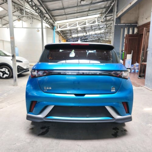 BYD ev 12.5＄/day