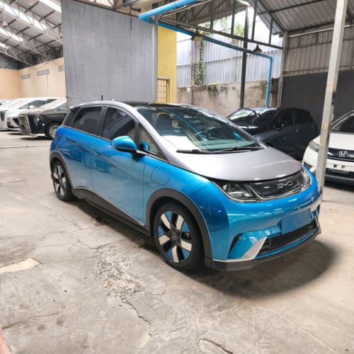 BYD ev 12.5＄/day