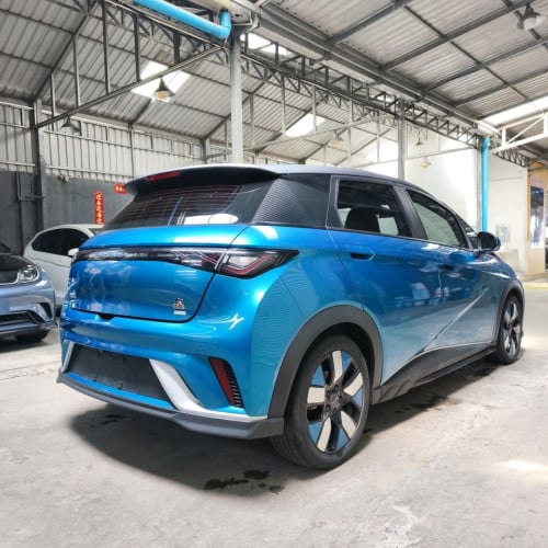 BYD ev 12.5＄/day