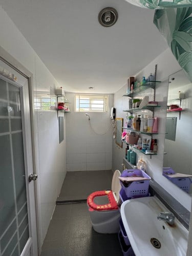 House for rent