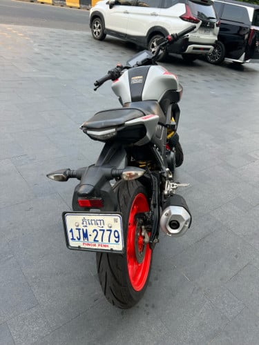 MT 2019