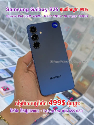 Samsung Galaxy S25