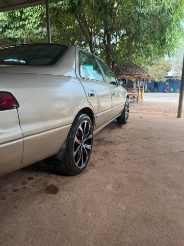 Toyota Camry ឆ្លាម 1998