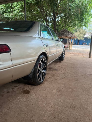Toyota Camry ឆ្លាម 1998