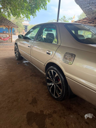 Toyota Camry ឆ្លាម 1998