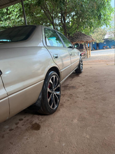 Toyota Camry ឆ្លាម 1998