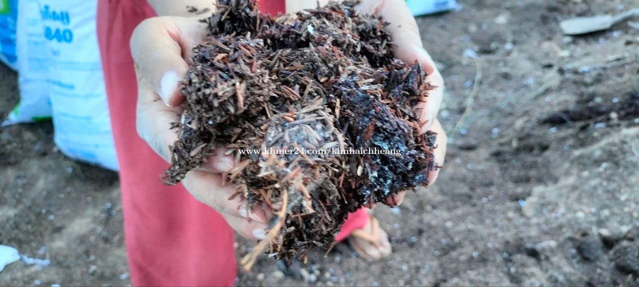 ជីអាចម៍មាន់ fertilizer