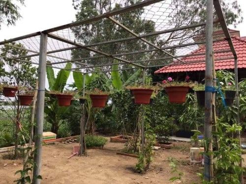 ផ្ទះលក់បន្ទាន់នៅទំនប់កប់ស្រូវ កែងផ្លូវហាណូយ