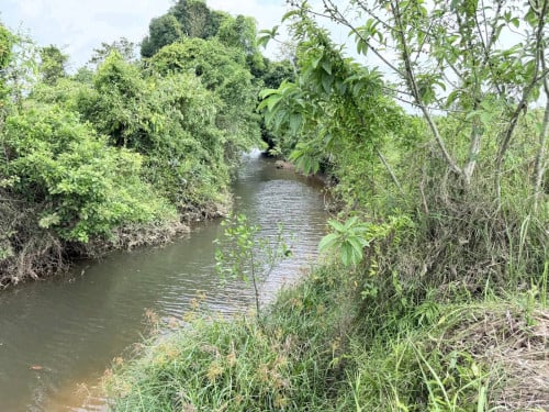 ដីជាប់ព្រែក