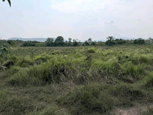 ដីជាប់ព្រែក