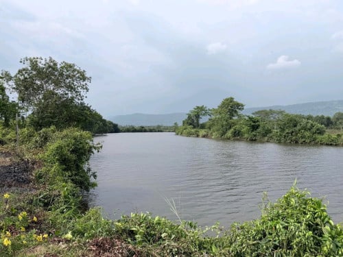 ដីជាប់ព្រែក