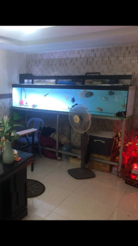 ទូរចីញ្ចឹមត្រី