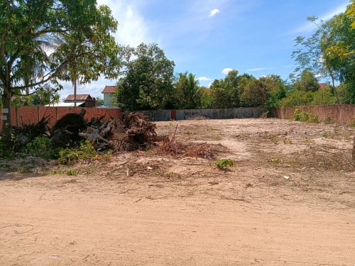 ដីជួល 1000 ម៉ែត្រការ៉េ