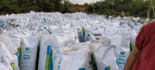 ជីអាចម៍មាន់ fertilizer