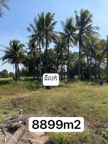 ដីលក់បន្ទាន់ អ្នកនាំភ្ញៀវ 4%តំលៃ $55,000 8899m2