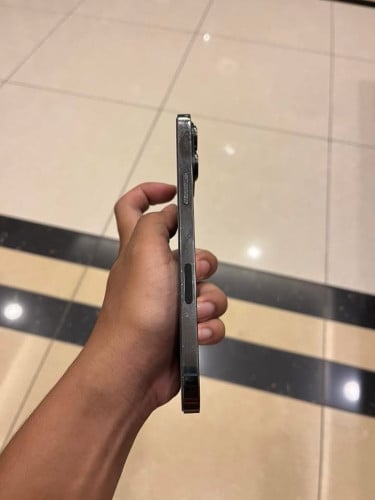 iPhone 13 Pro Max 256G