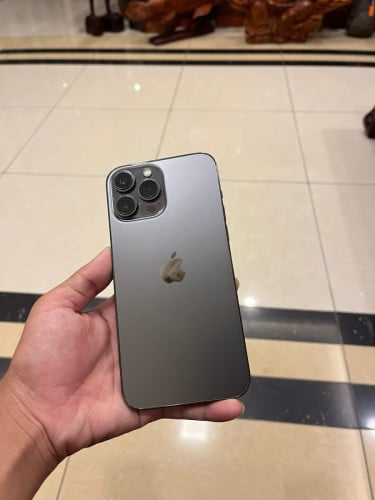 iPhone 13 Pro Max 256G