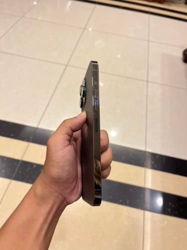 iPhone 13 Pro Max 256G