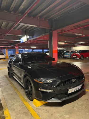 Mustang 2018 ម្ចាស់ផ្ទាល់
