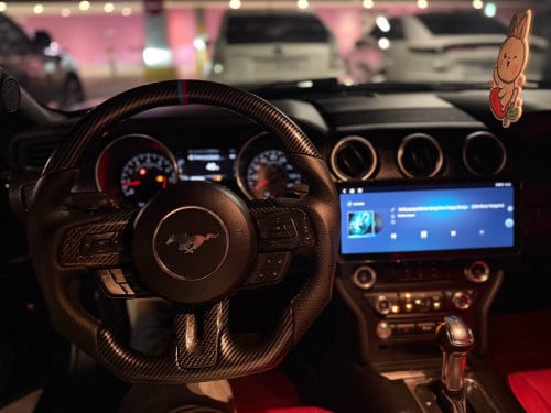 Mustang 2018 ម្ចាស់ផ្ទាល់