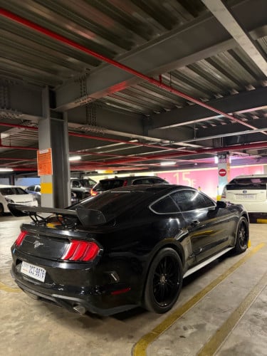 Mustang 2018 ម្ចាស់ផ្ទាល់