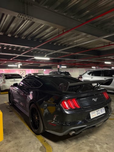 Mustang 2018 ម្ចាស់ផ្ទាល់