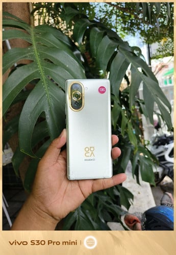 Nova 10 8/128G china version