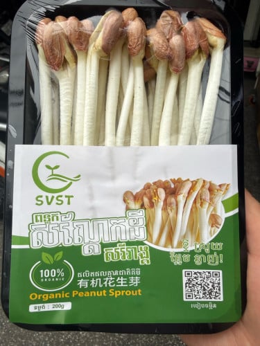 Peanut Sprouts