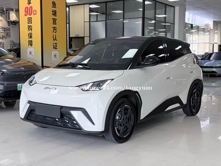 BYD Seagull 305km used 2023