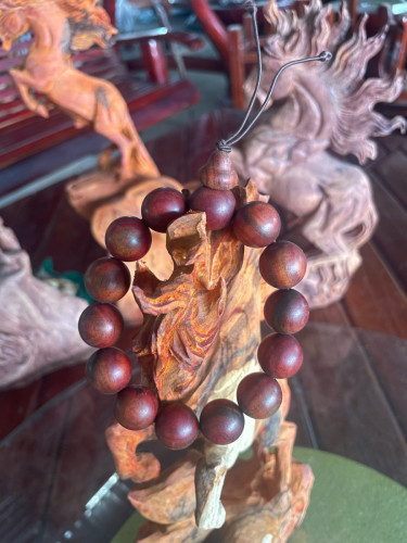 ខ្សែ​អង្កាំឈេីក្រញូងនិងខ្លឹមឈេីខ្មៅ