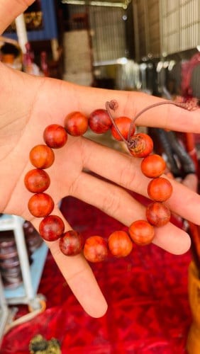 ខ្សែ​អង្កាំឈេីក្រញូងនិងខ្លឹមឈេីខ្មៅ