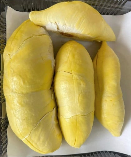 ទុរេនចំការបែកអន្លូងកំពង់ចាម