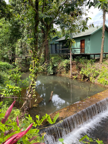 រីស៊តនៅអារ៉ែងលក់បន្ទាន់
