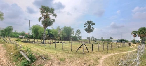 ដីលក់ 土地出售